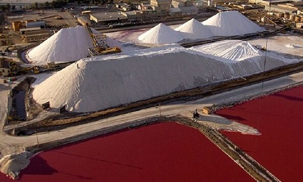 The Future of Salt: Innovations and Trends in Salt Manufacturing